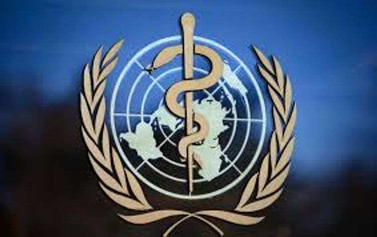 WHO called on world community to prepare for new pandemic