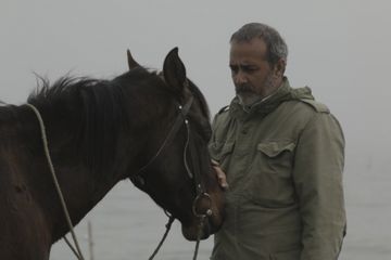    İranlı türk rejissor: “İranda türk dilində çəkilən filmlərə baxan çox azdır” - MÜSAHİBƏ