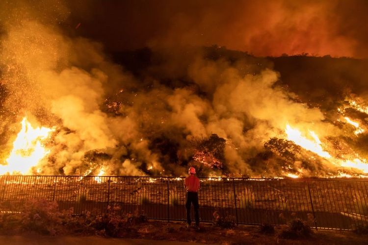 По меньшей мере 23 человека погибли в результате лесных пожаров на западе США