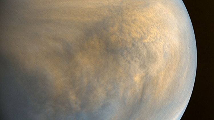В NASA прокомментировали обнаружение признаков жизни на Венере