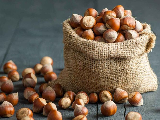 Russia, Italy and Germany become main importers of Azerbaijani nuts