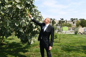 Prezident İlham Əliyev və Mehriban Əliyeva Balaxanıda aparılan abadlıq işləri ilə tanış olublar - YENİLƏNİB-1