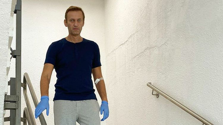 В США предложили ввести санкции против России из-за Навального