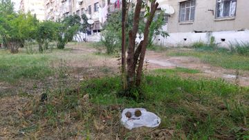 Bakıda əl qumbarası, partladıcı tapılıb