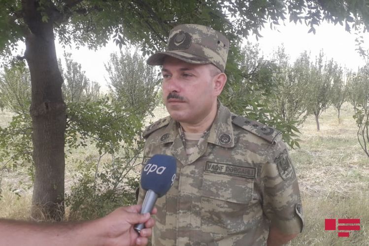 Вагиф Даргяхлы: С территории Армении ведется артиллерийский обстрел по территории Дашкесанского района