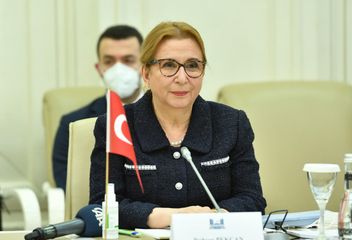 Sahibə Qafarova Türkiyənin ticarət naziri ilə görüşüb