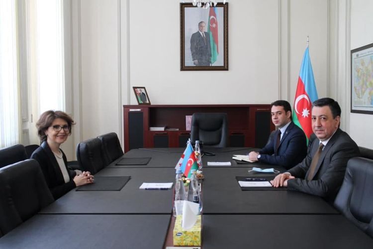 Azerbaijan and Georgia discuss cooperation in cultural field 