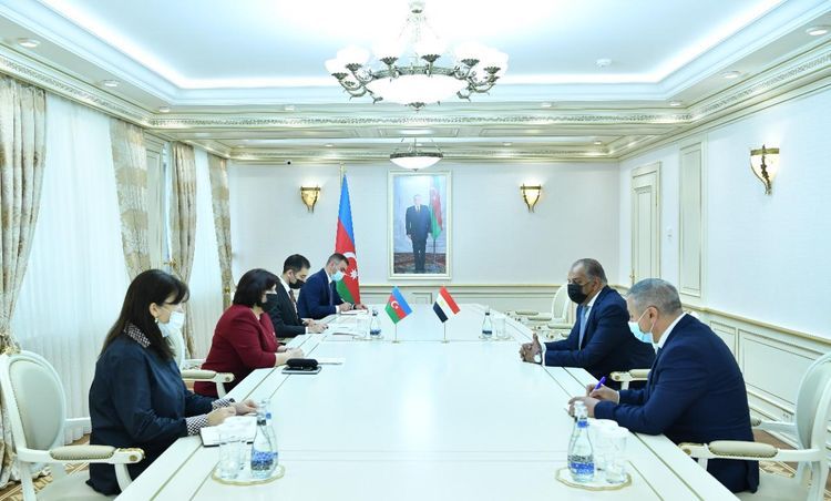 Chair of Milli Majlis Sahiba Gafarova Met with the Ambassador of Arab Republic of Egypt to Azerbaijan 