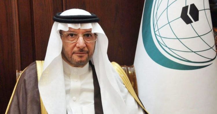 OIC supports all efforts of Azerbaijan,  stands by Azerbaijan, Secretary-General says