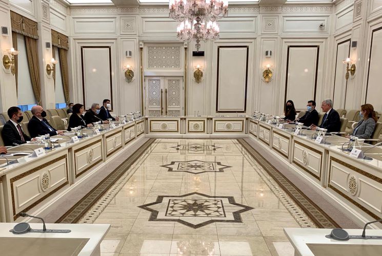 Sahibə Qafarova BMT Baş Assambleyasının Prezidenti ilə görüşüb - YENİLƏNİB