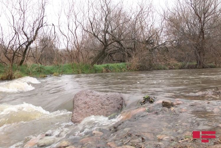 В реки Хекери и Баргушад выпустили мальков форели 