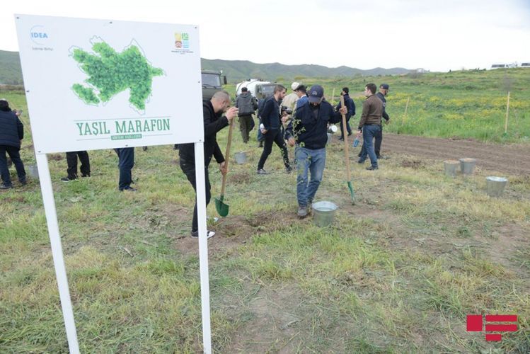 750 trees planted in Gubadli within framework of “Green Marathon”