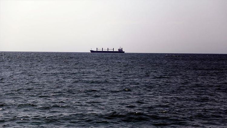 Israeli-owned ship reportedly attacked off UAE coast