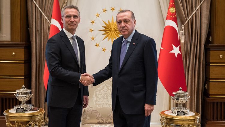 Эрдоган и генсек НАТО обсудили напряженность в украино-российских отношениях