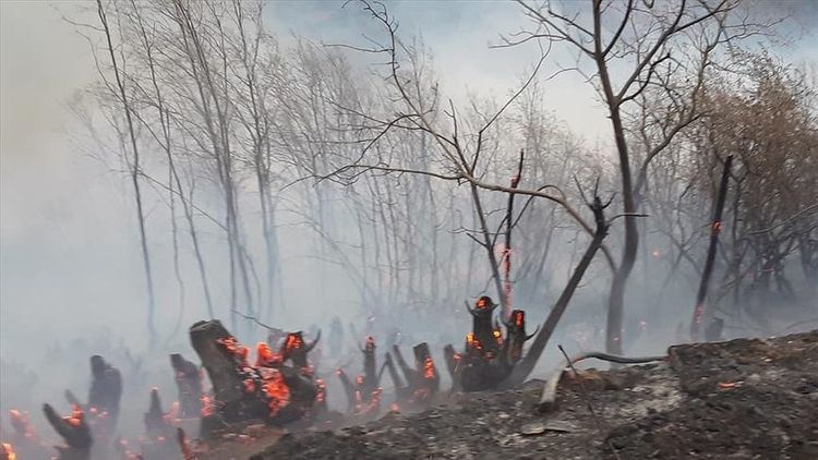 Forest fire erupts in western, southwestern Turkey