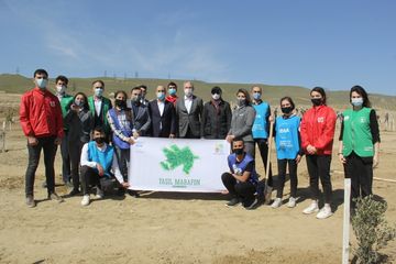 “Yaşıl Marafon” layihəsi çərçivəsində Bakıda ağacəkmə aksiyası keçirilib - FOTO