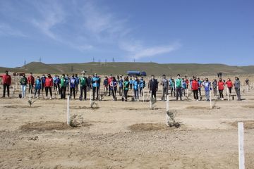 “Yaşıl Marafon” layihəsi çərçivəsində Bakıda ağacəkmə aksiyası keçirilib - FOTO