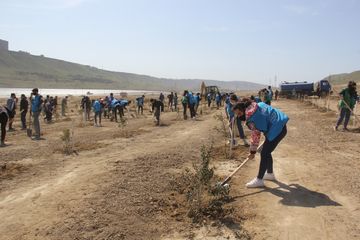 “Yaşıl Marafon” layihəsi çərçivəsində Bakıda ağacəkmə aksiyası keçirilib - FOTO
