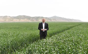 Hacıqabulda "Aqro Dairy" MMC-nin aqroparkının təqdimatı olub - YENİLƏNİB