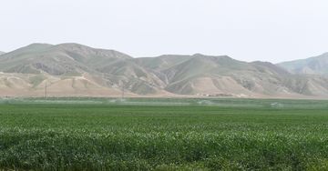 Hacıqabulda "Aqro Dairy" MMC-nin aqroparkının təqdimatı olub - YENİLƏNİB