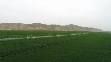 Hacıqabulda "Aqro Dairy" MMC-nin aqroparkının təqdimatı olub - YENİLƏNİB