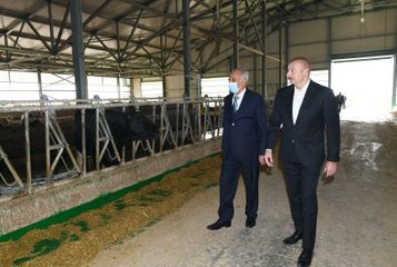 Hacıqabulda “Azərsun Şamaxı Aqropark”ın açılışı olub - YENİLƏNİB