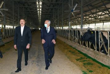 Hacıqabulda “Azərsun Şamaxı Aqropark”ın açılışı olub - YENİLƏNİB