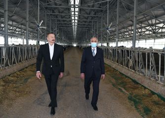 Hacıqabulda “Azərsun Şamaxı Aqropark”ın açılışı olub - YENİLƏNİB