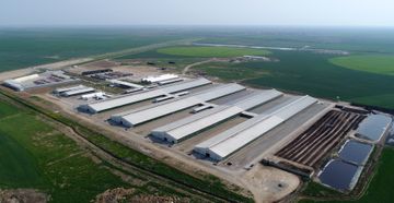 Hacıqabulda “Azərsun Şamaxı Aqropark”ın açılışı olub - YENİLƏNİB