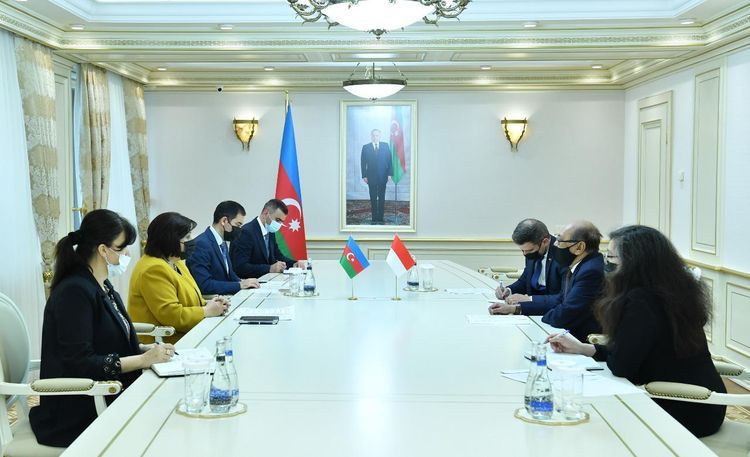 Посол Индонезии: Азербайджан выполняет большую работу для обеспечения прочного мира в регионе