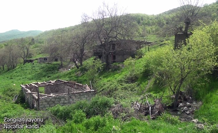Azerbaijani MoD releases video footage of the Najaflar village of the Zangilan region - VIDEO