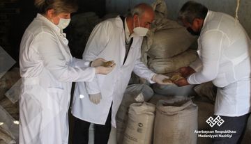 Respublika Atçılıq Turizm və Atüstü Milli Oyunlar Mərkəzindəki atlara tibbi yardım göstərilib
