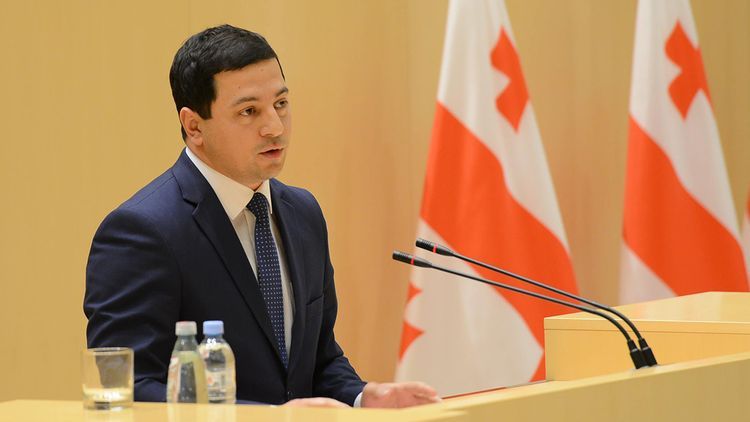 Chairman of Georgian Parliament resigns