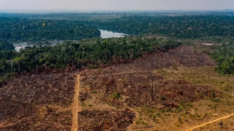 Since 2010, Amazon forest emitted more CO2 than it absorbed