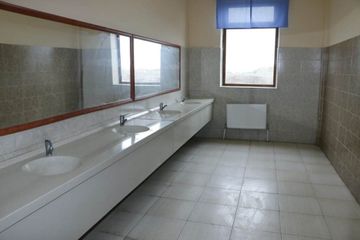 DSX-nin yeni zastavası istifadəyə verilib