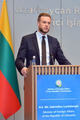 Bakıda Azərbaycan və Litva XİN başçılarının görüşü keçirilib - YENİLƏNİB-1
