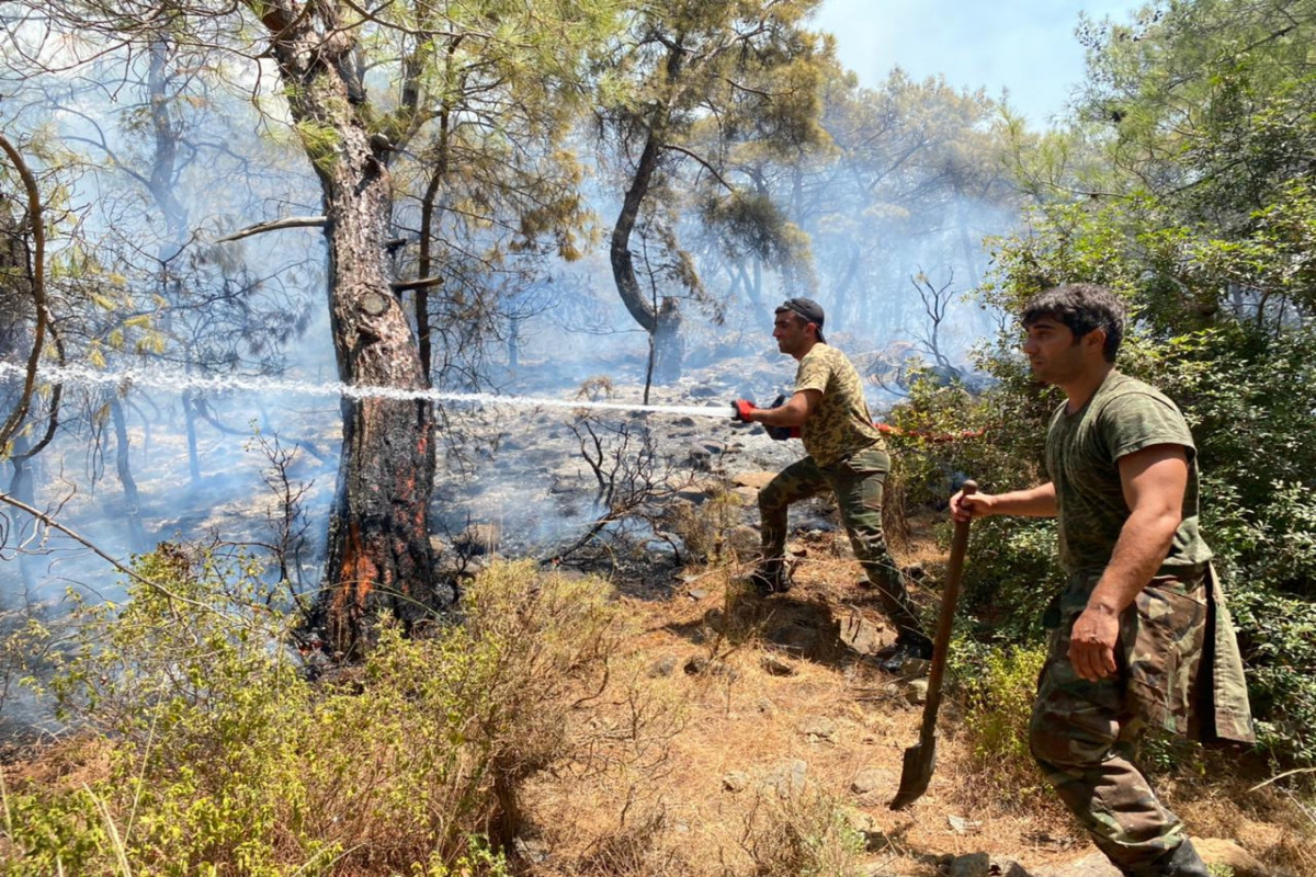 Подразделения МЧС тушат лесные пожары в Турции