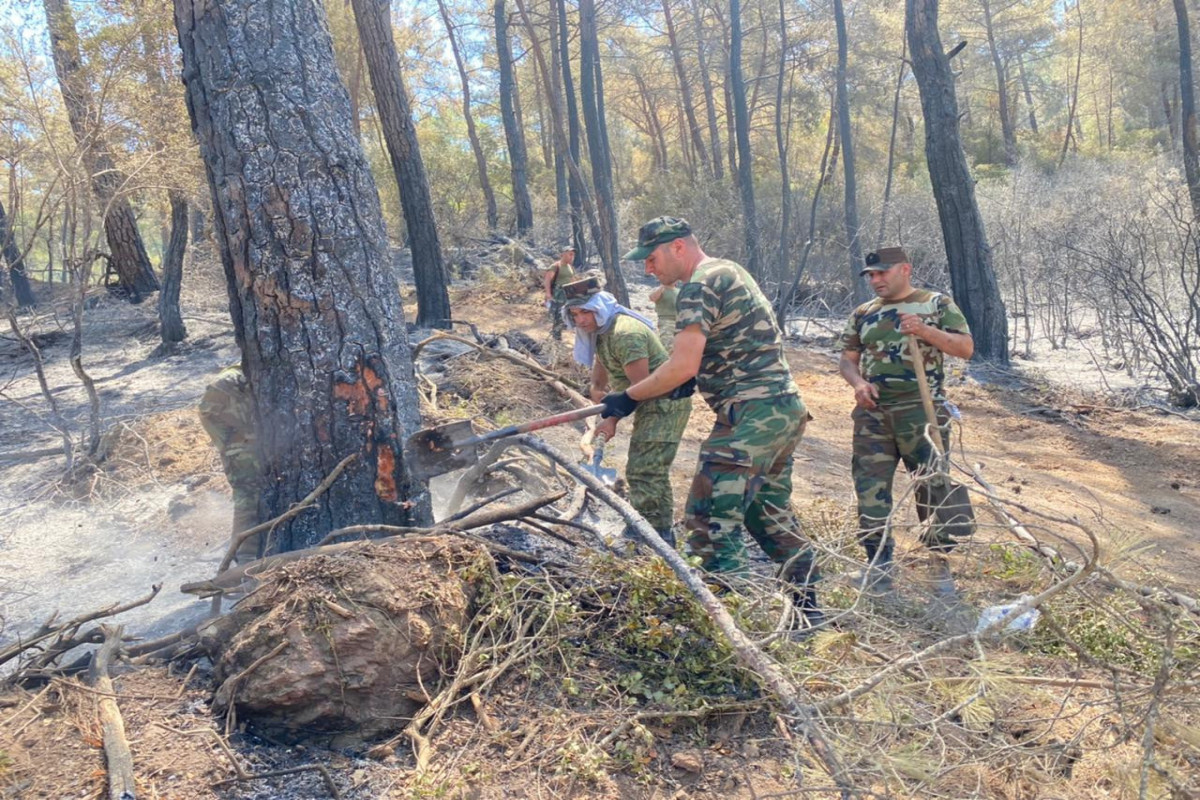Подразделения МЧС тушат лесные пожары в Турции