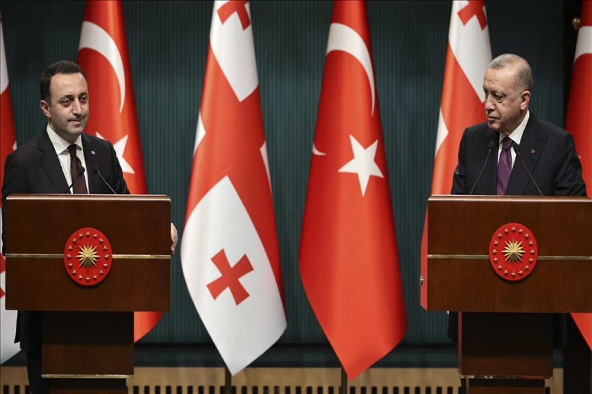 Gürcüstanın Baş naziri İrakli Qaribaşvili və Türkiyə Prezidenti Rəcəb Tayyib Ərdoğan