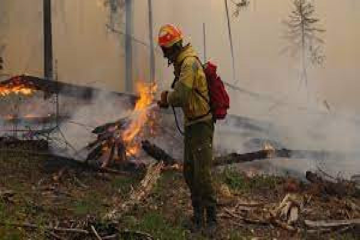 Emercom notes decline in wildfires on Russian territory