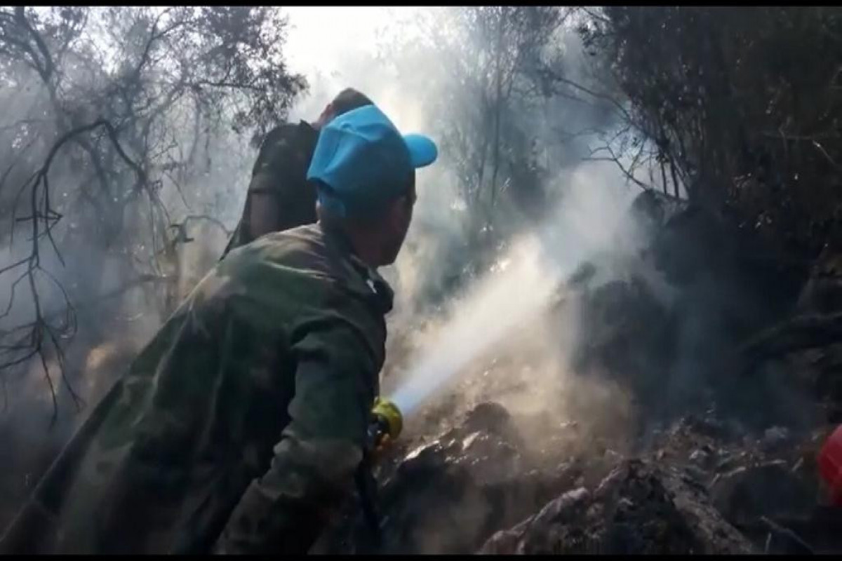 Türkiyədə olan FHN-in yanğınsöndürmə qüvvələri yanğınlarla mübarizəni davam etdirir - FOTO  - VİDEO 