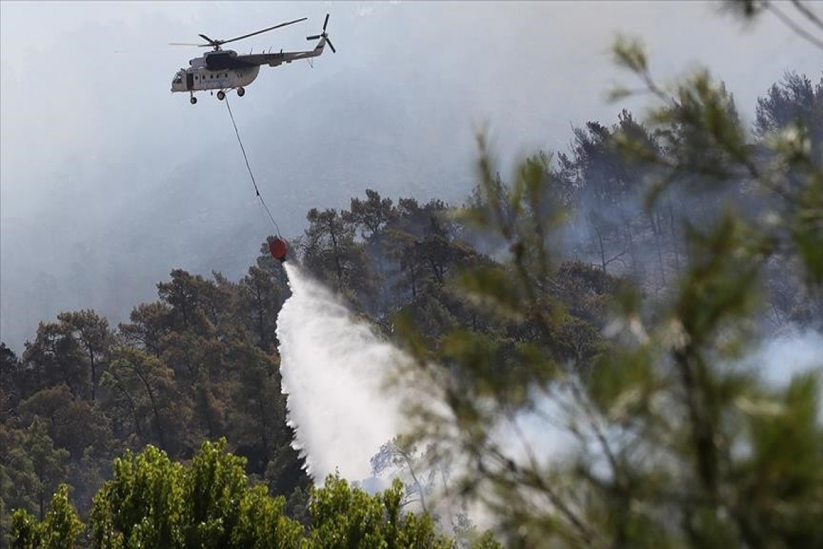 Forest fires in Turkey