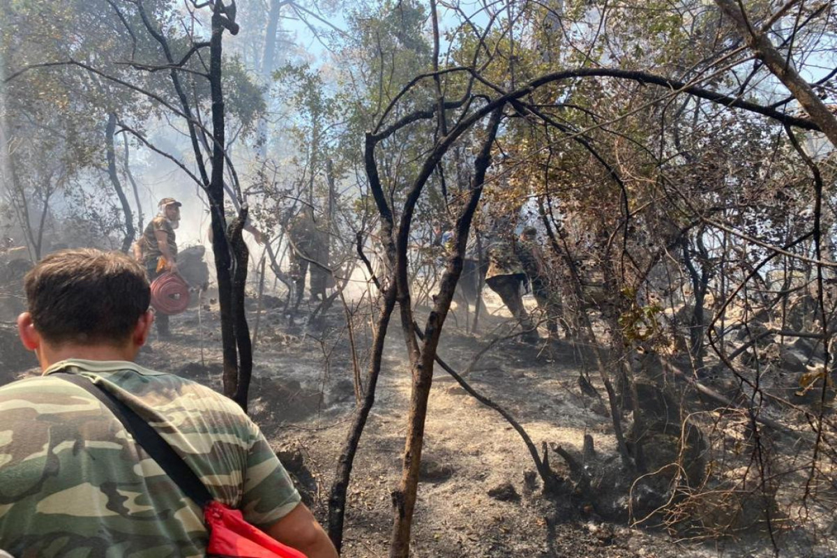 лесные пожары в Турции