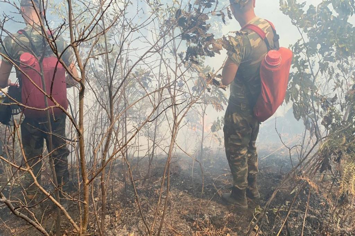Пожар в лесополосе в Ярдымлы
