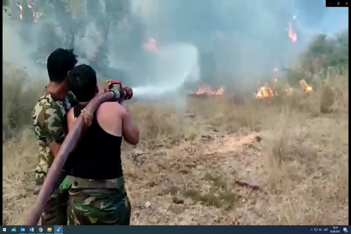 FHN-in yanğınsöndürmə qüvvələri Türkiyədə yanğınlarla mübarizəni davam etdirir - FOTO  - VİDEO 