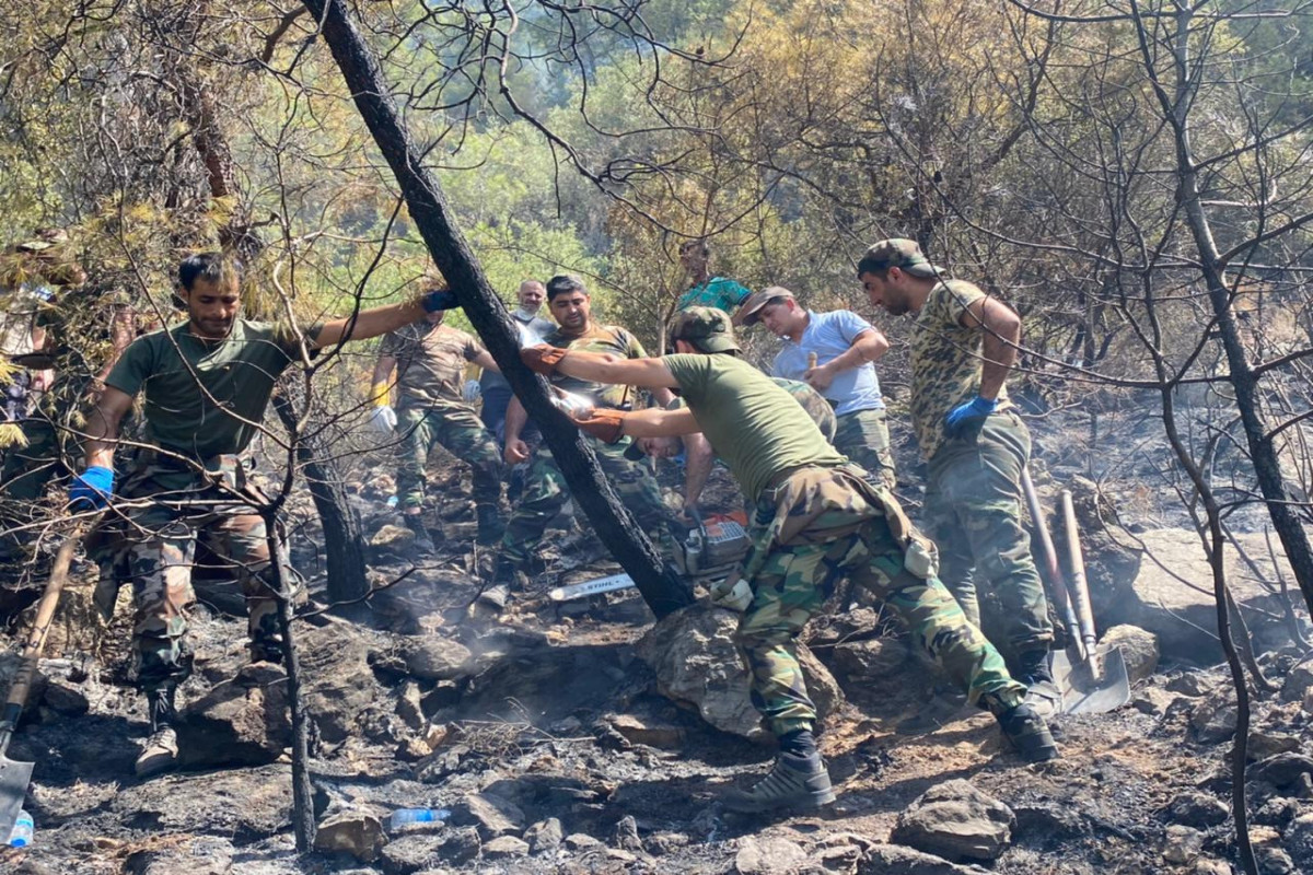 Firefighters of the Ministry of Emergency Situations continue to fight fires in Turkey-PHOTO -VIDEO 