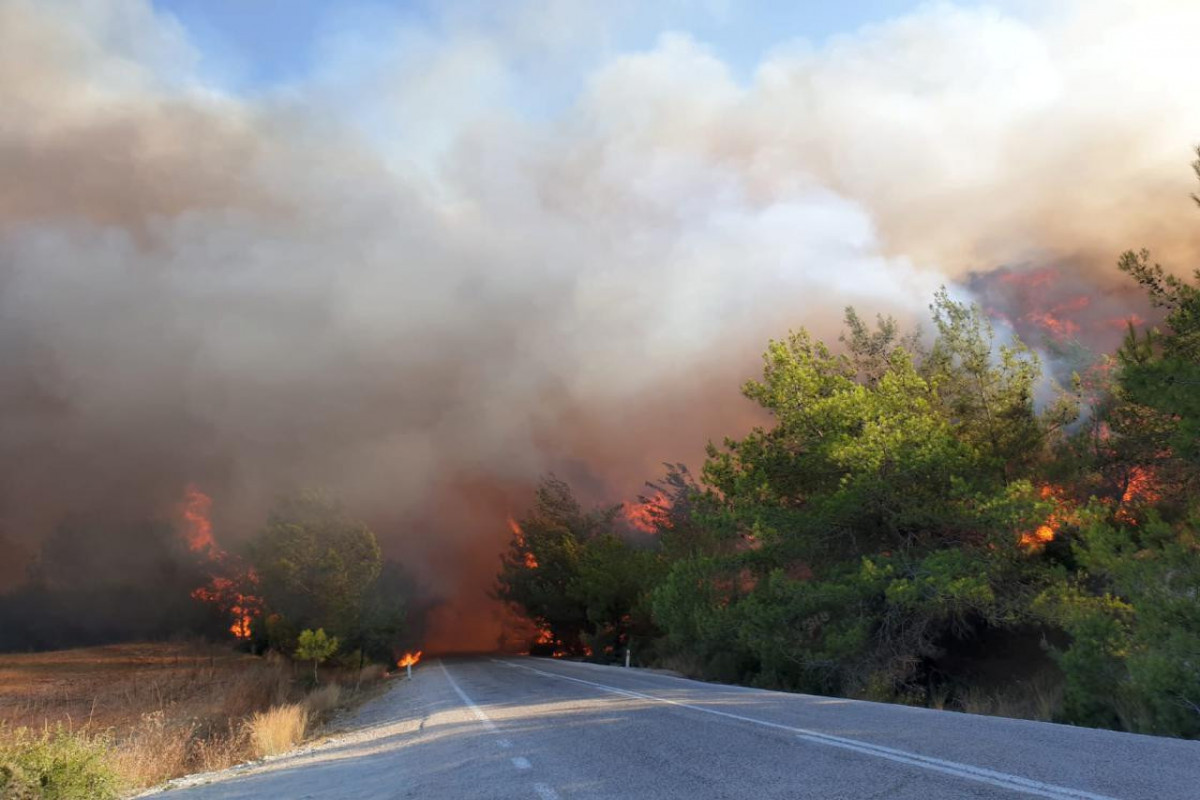 167 fires taken under control in 33 provinces of Turkey