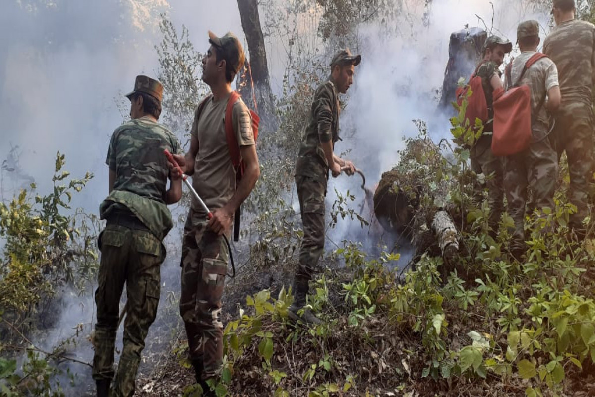 Операция по тушению пожара в лесополосе в Ярдымлы