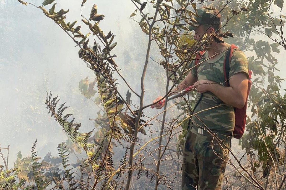 Операция по тушению пожара в лесополосе в Ярдымлы