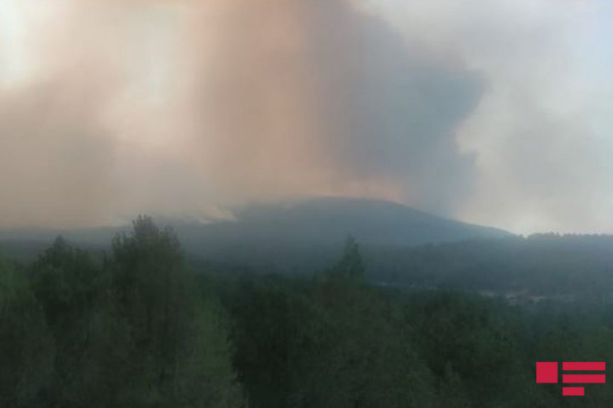 Turkey forest fire